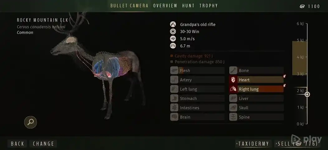 Скриншот Way of the Hunter Wild America