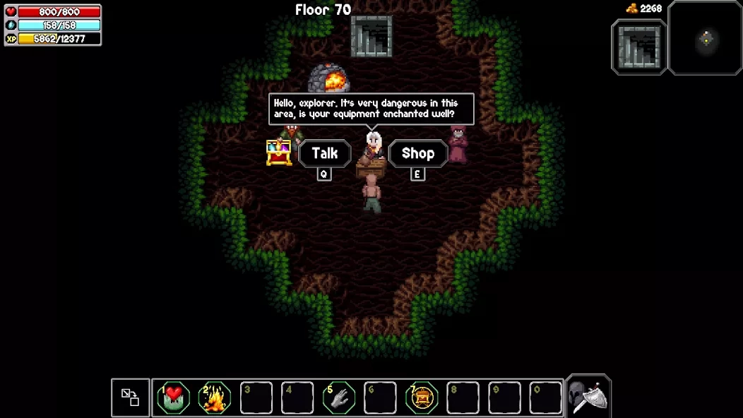 Скриншот The Enchanted Cave 2