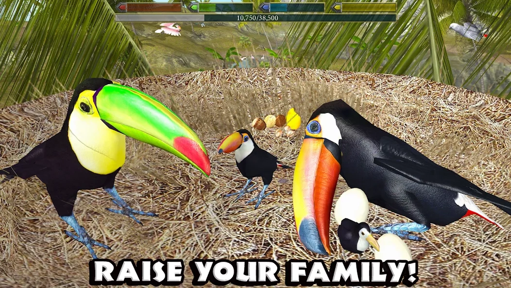 Скриншот Ultimate Bird Simulator