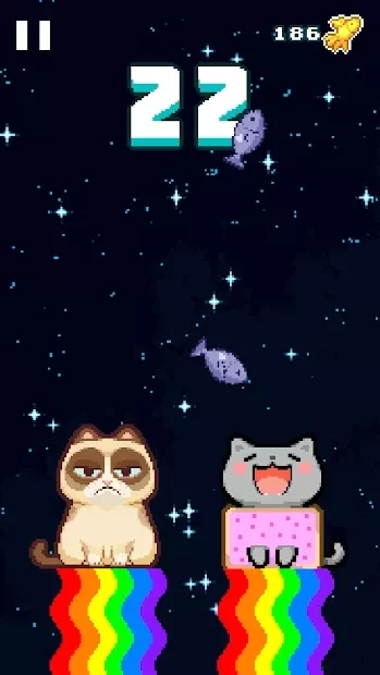 Скриншот Кот Ном