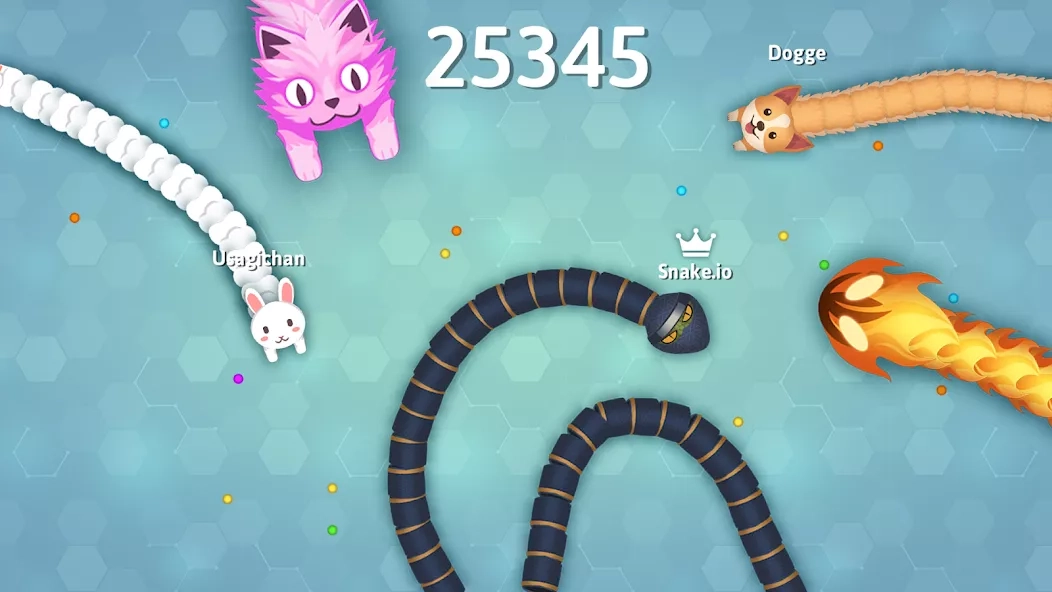 Скриншот Snake.io