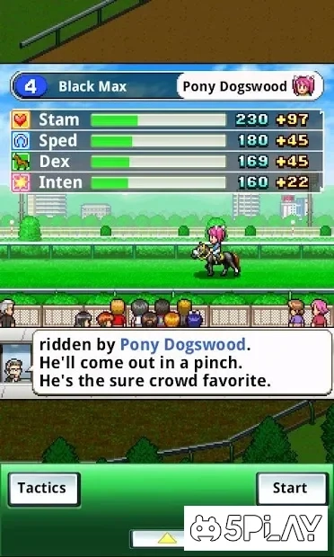 Скриншот Pocket Stables