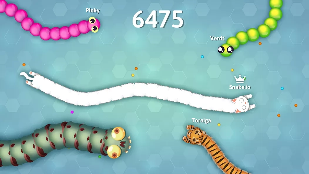 Скриншот Snake.io