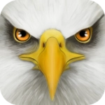 Ultimate Bird Simulator