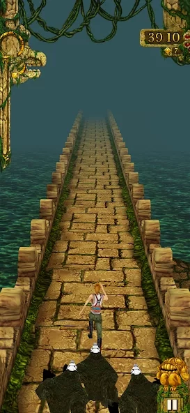 Скриншот Temple Run