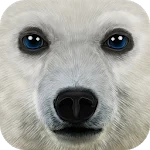 Ultimate Arctic Simulator