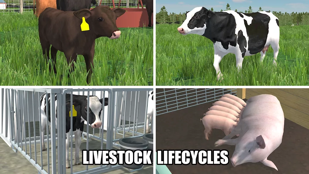 Скриншот American Farming