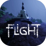 Flight