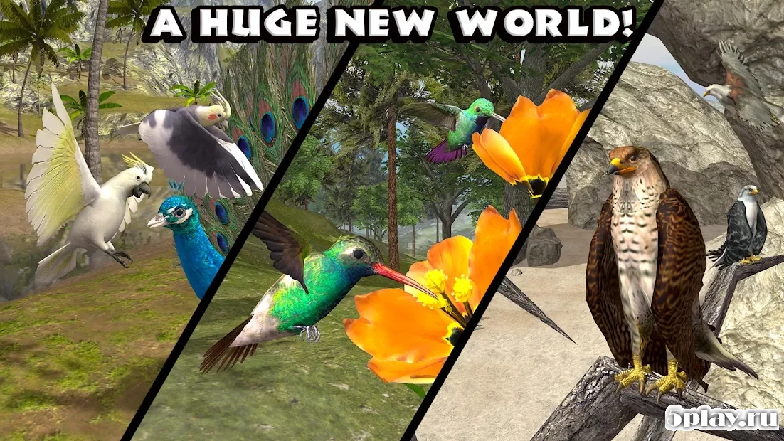 Скриншот Ultimate Bird Simulator