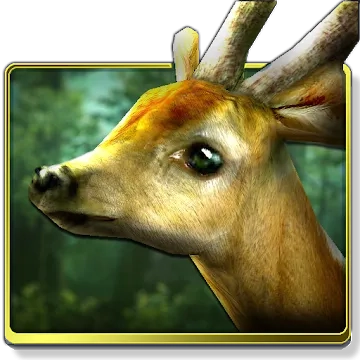 Forest HD