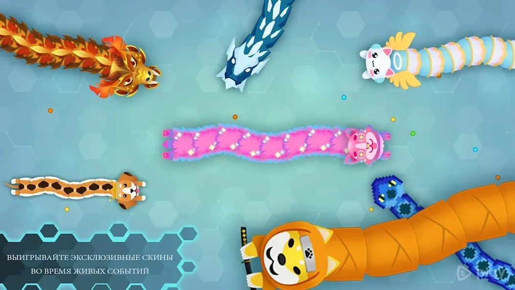Скриншот Snake.io