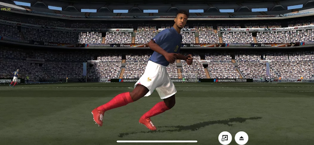 Скриншот Winner Soccer 2