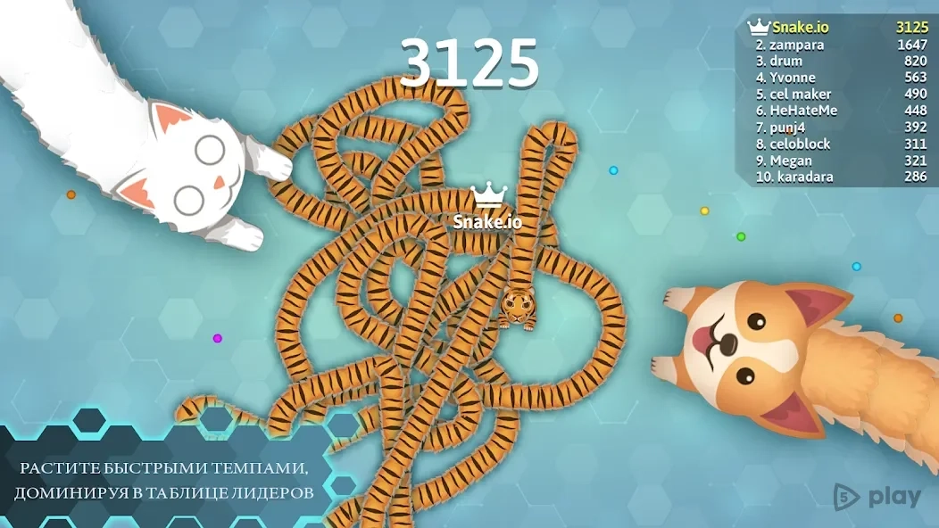 Скриншот Snake.io